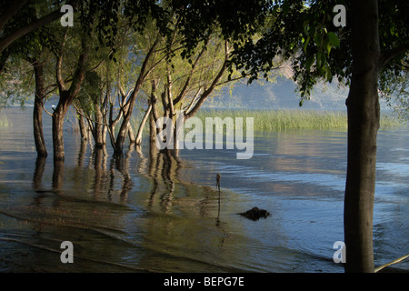 GUATEMALA lago Atitlan, come visto da San Pedro La Laguna. Foto di SEAN SPRAGUE 2009 Foto Stock