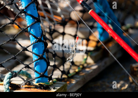 Esca artificiale su un lobster pot Foto Stock