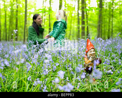 Gnomo da giardino nel bosco Foto Stock