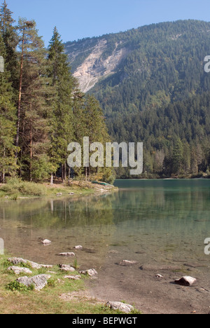 Il lago di Tovel , Parco naturale Adamello Brenta, Trentino Alto Adige, Italia Foto Stock