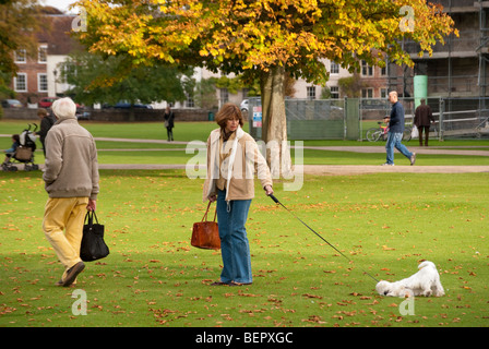 Coppia di mezza età a piedi un cane su un lungo filo nella cattedrale vicino a Salisbury Foto Stock