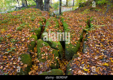 Nord America Canada Ontario vicino Wiarton "Bruce Peninsula" "scarpata del Niagara" "Bruce Trail' 'Skinners Bluff' Foto Stock