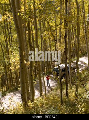 Una donna si è fermato lungo una strada sterrata in Colorado per fotografare il Aspen alberi che cominciano a girare a colori. Foto Stock