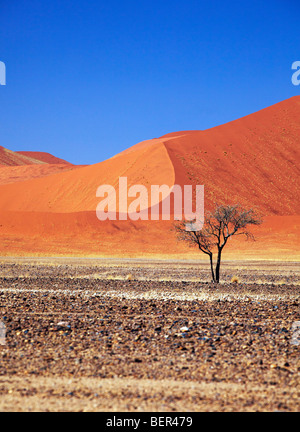 Dune di sabbia del deserto del Namib e Sossusvlei, Namibia Foto Stock