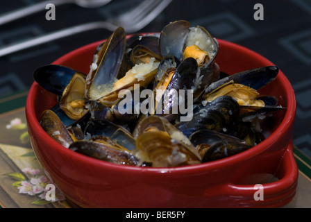 Cuocere le cozze nel recipiente rosso Foto Stock