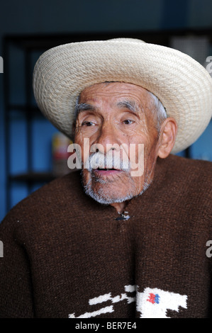 Anziani indossando messicano sombrero, baffi e poncho marrone Foto Stock