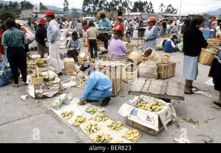 Ragazzo giovane fruttivendola diffonde piccolo giallo e verde manghi su panni bianchi. Altopiano locale Ecuador mercato. Foto Stock