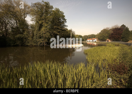 Il vescovo Burton villaggio nei pressi di Beverley East Yorkshire Regno Unito Foto Stock