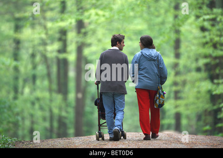 Passeggini nella foresta di faggio (Fagus sylvatica) in avenue al mattino, Brakel, Belgio Foto Stock