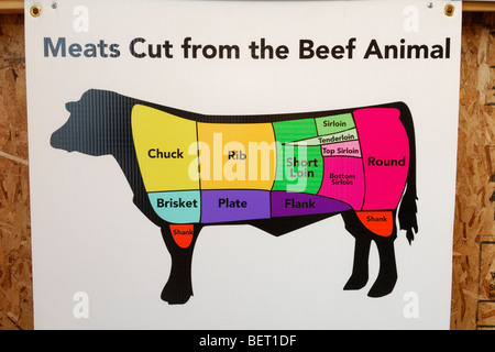 Display che mostra i vari tagli di carni provenienti da un animale di carni bovine Foto Stock