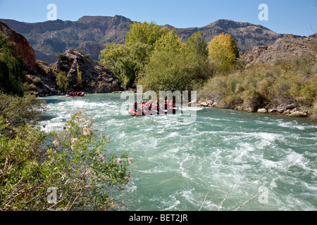 Rafting nel fiume Atuel, Valle Grande, San Rafael, provincia di Mendoza, centrale Ande, Argentina Foto Stock