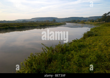 La mattina presto la nebbia e sole sul fiume Arun vicino a Amberley nel West Sussex Regno Unito Foto Stock