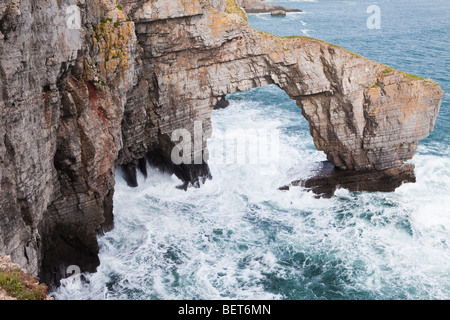 Ponte Verde del Galles, una roccia naturale arco in Il Pembrokeshire Coast National Park, vicino Flimston, Pembrokeshire, Galles Foto Stock