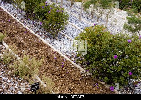 Giardini Botanici, Cranbourne, Victoria, Australia Foto Stock