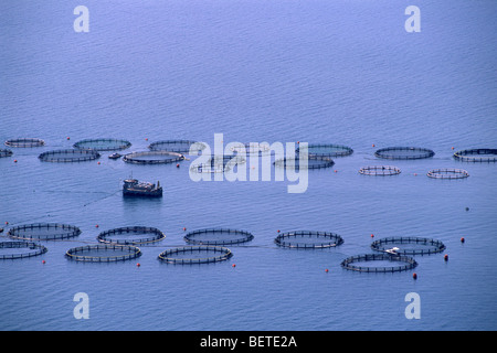 Grecia, Isole Ionie, Cefalonia, allevamenti ittici Foto Stock