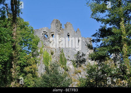 Rovine del medievale castello di Montaigle / Château de Montaigle a Falaën, Onhaye, Namur, Ardenne belghe, Walloninia, Belgio Foto Stock