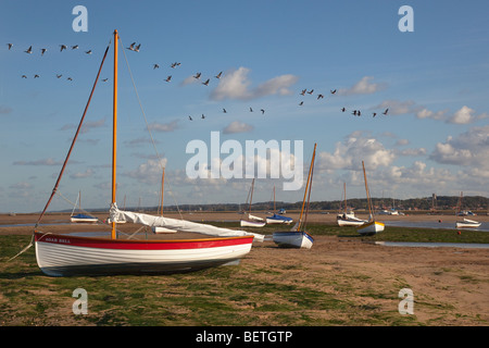 Brent oche su Porto Blakeney Norfolk verso Blakeney Chiesa Foto Stock