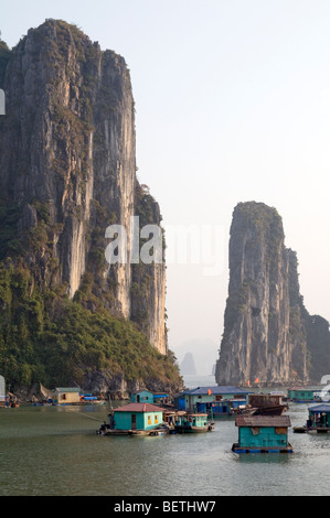 Il Vietnam turistico e barche da pesca nella baia di Halong Foto © Julio Etchart Foto Stock