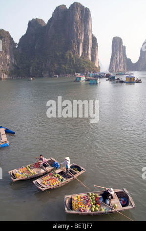 Il Vietnam TOURIST,barche da pesca e fornitori di frutta nella baia di Halong Foto © Julio Etchart Foto Stock