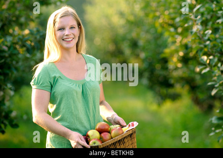 Giovane donna raccogliendo mele. Foto Stock