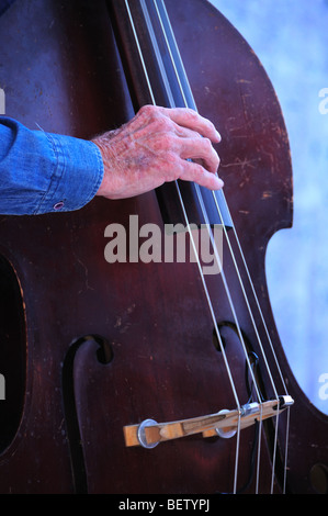 Southern Arizona Old Time Fiddlers eseguire a Tucson incontrare te stesso, un multi-festival culturale di Tucson, Arizona, Stati Uniti. Foto Stock