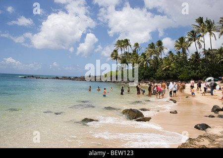 Guardare la gente tartarughe marine verdi nuoto, Laniakea beach, Honolulu, Hawaii Oahu Island Foto Stock