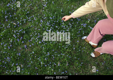 Inizio Primavera Foto Stock