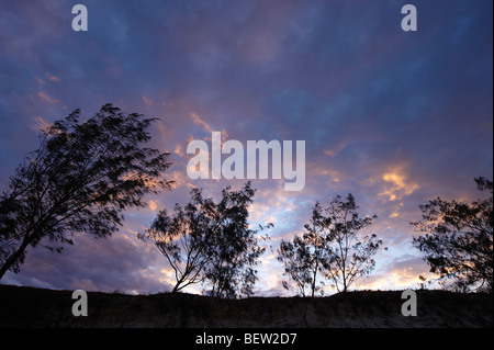 Spiaggia erosione su Rainbow Beach Queensland Australia dall innalzamento del livello del mare Foto Stock