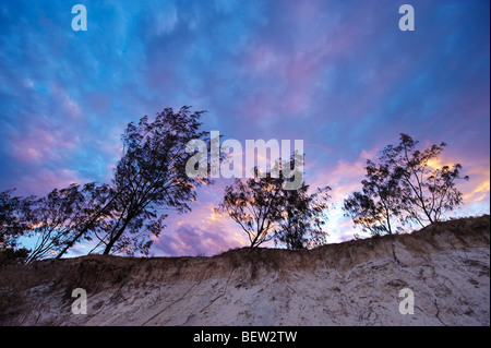 Spiaggia erosione su Rainbow Beach Queensland Australia dall innalzamento del livello del mare Foto Stock