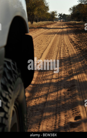 Ruota di 4x4 SUV sulla strada sterrata nella boccola Sud Africa destinazioni di viaggio concetti illustrazione della natura Foto Stock