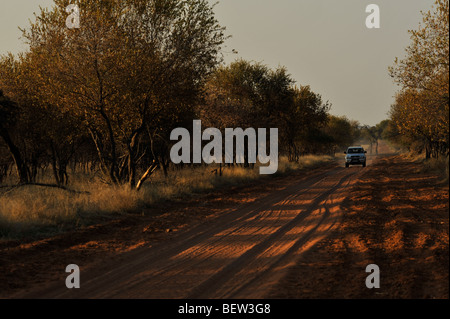 4x4 off road carrello su strada sterrata nella savana africana Foto Stock