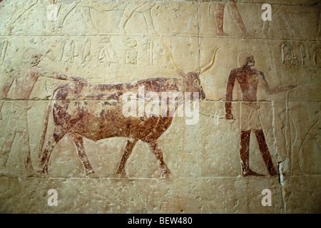 Iscrizione a Mastaba vicino a Saqqara passo piramide del faraone Djoser, Saqqara, Egitto Foto Stock