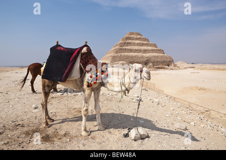 Fase di Saqqara piramide del faraone Djoser, Saqqara, Egitto Foto Stock