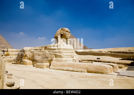 Grande Sfinge di Giza, il Cairo, Egitto Foto Stock