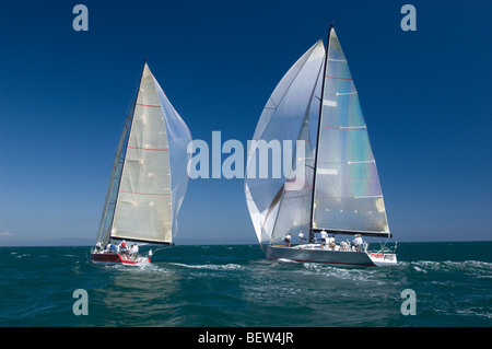 Due barche competere nel team evento vela, California Foto Stock