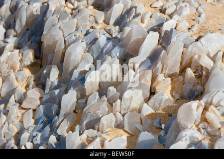 Crystal sulla montagna di cristallo, Deserto Libico, Egitto Foto Stock