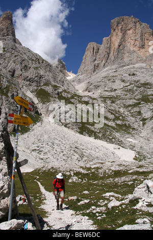 Walker in Pale di San Martino, Parco Dolomiti italiane estate Foto Stock