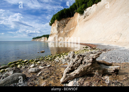 Spiaggia di ciottoli a Chalk cliff di Jasmund, Rugia, Germania Foto Stock