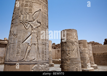 Colonna in Kom Ombo, Tempio di Kom Ombo, Egitto Foto Stock