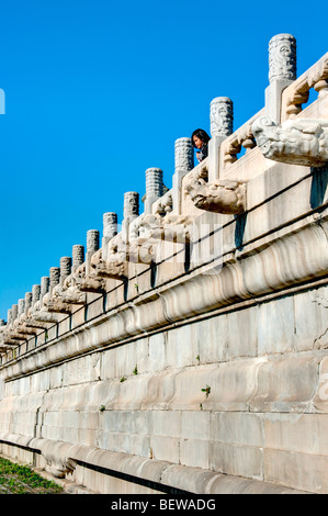 Tai egli Dian, Pechino, Cina Foto Stock