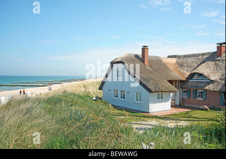 Casa di paglia in mezzo alle dune di Darss, Germania Foto Stock