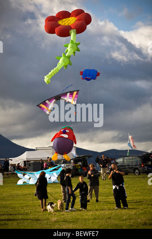 Aquiloni al momento della 'Cervolix' Air Festival, sull'altopiano di Gergovie (La Roche Blanche - Puy de Dôme - Auvergne - Francia). Foto Stock