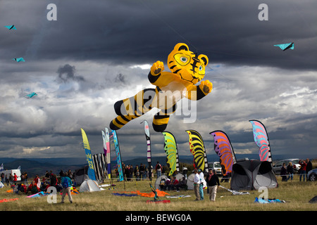 Una tigre-kite sagomata, al momento della 'Cervolix' Air Festival (Auvergne - Francia). Cerf-volant en forme de tigre (Alvernia). Foto Stock