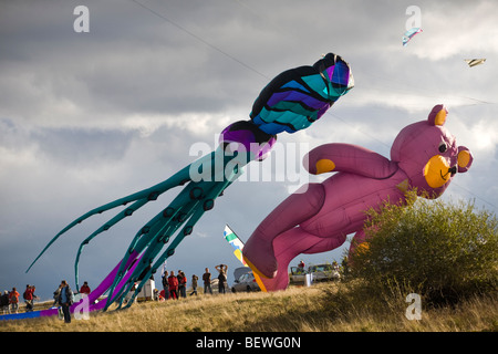 Polpi e bear-aquiloni sagomato al momento della 'Cervolix' Air Festival (Francia). Cerfs-volants en forme de pieuvre et d'nostra. Foto Stock