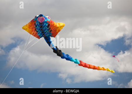 Un aquilone volante al momento della 'Cervolix' Air Festival (Auvergne - Francia). Cerf-volant Lors du festival aérien " Cervolix'. Foto Stock