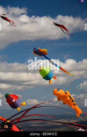 Aquiloni al momento della 'Cervolix' Air Festival (Auvergne - Francia). Cerfs-volants Lors du festival aérien " Cervolix' (Francia). Foto Stock