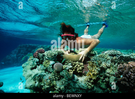 Apneista esplora Coral reef. Il Sinai, Egitto - Mar Rosso Foto Stock