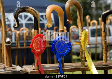 Vincitori del premio in Coniston Country Fair stick concorrenza Foto Stock