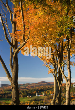 rural scene in Autumn in the Pownal Valley of Southern Vermont Foto Stock