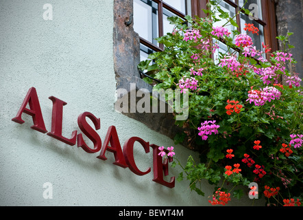 Alsazia segno generico di fiori tipici motivi floreali colorati window box al di fuori della cantina con "Alsace" segno Alsace Francia Foto Stock